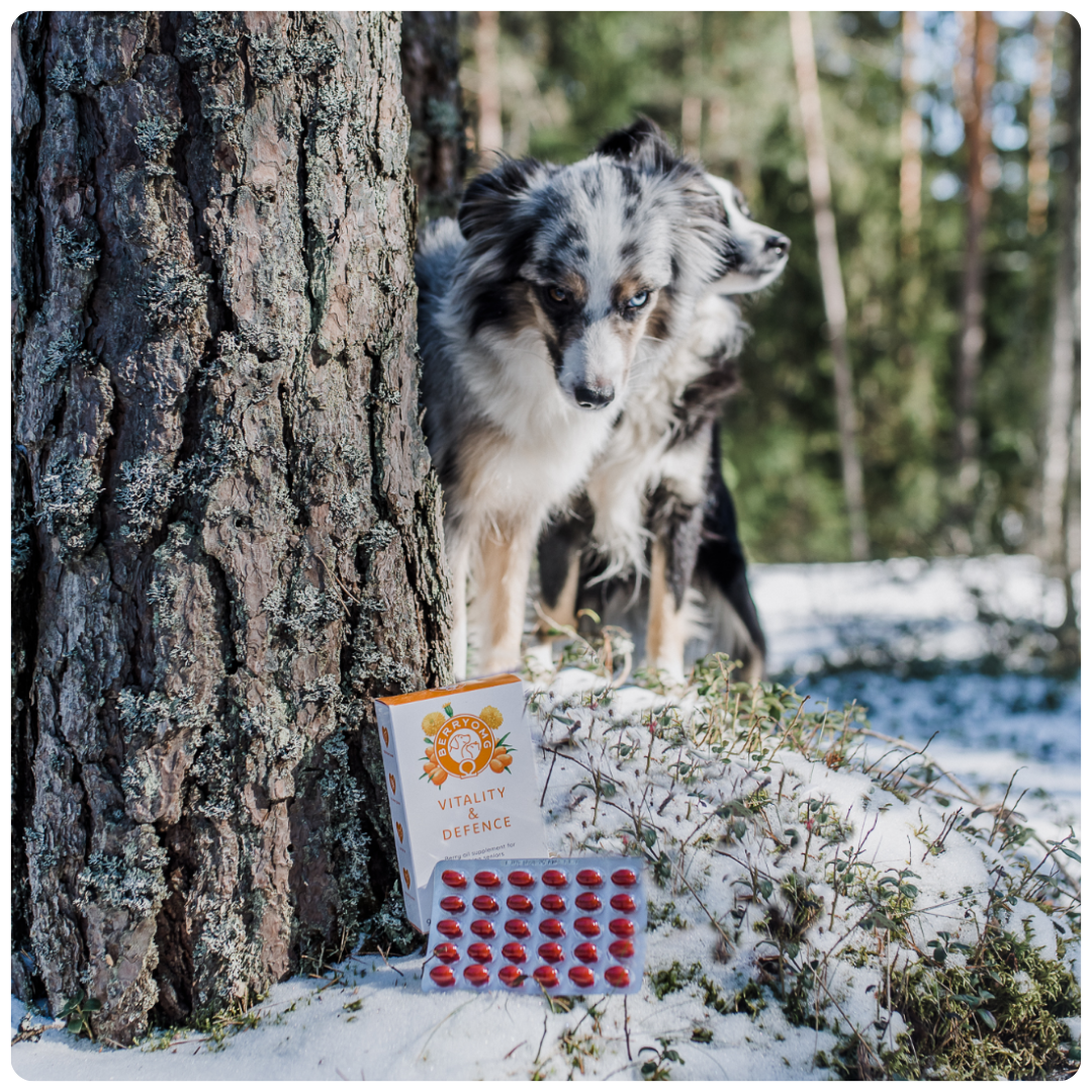 BERRYOMG Vitality & Defence tilskudd 180 kapsler lutein