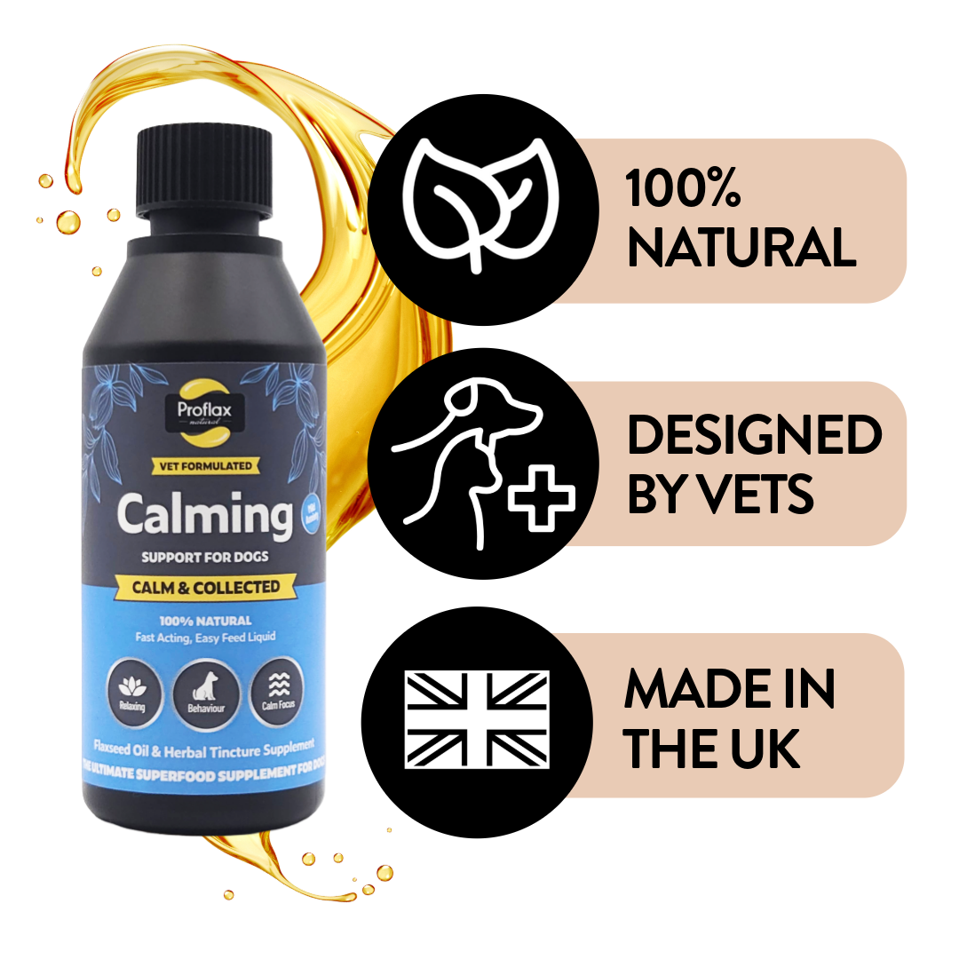 Proflax Calm & Collected olje hund 250 ml rolig