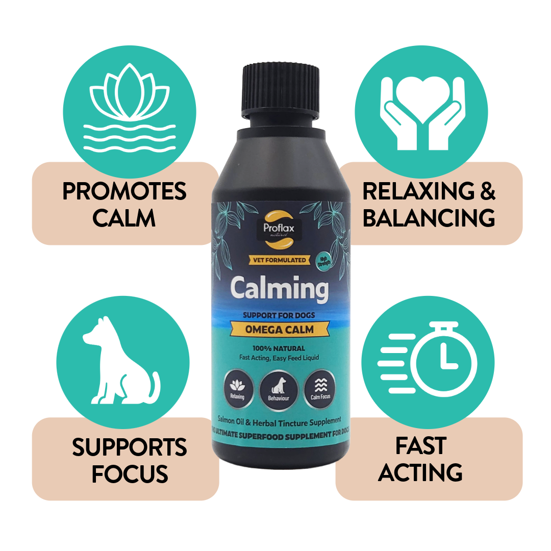 Proflax Omega Calm olje 100 ml beroligende