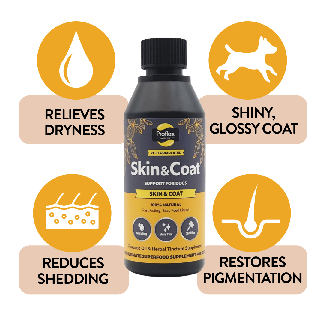 Proflax Skin & Coat olje for hund 250 ml blank pels