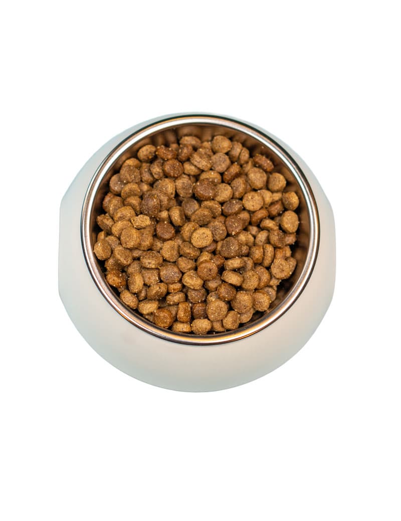 Four Friends Puppy Lamb & Rice valpefôr lam og ris 29% protein