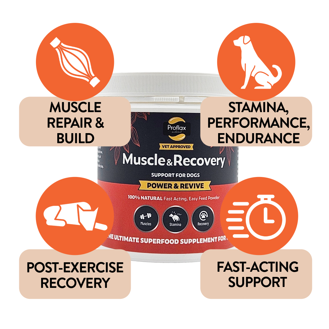 Proflax Power Revive muskelpulver til hund 100 g restitusjon